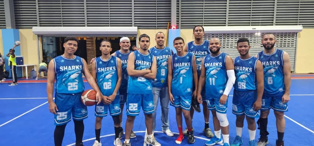 Plantilla Sharks